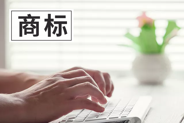 可以用商標入股跟他人開公司嗎？